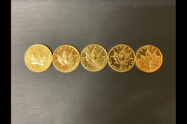 メイプルリーフ金貨 1/2oz 5枚