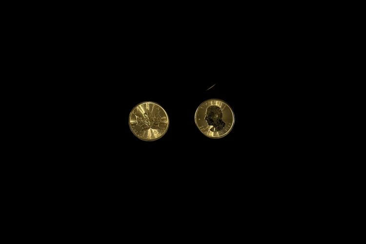 メイプルリーフ金貨 1oz 2枚