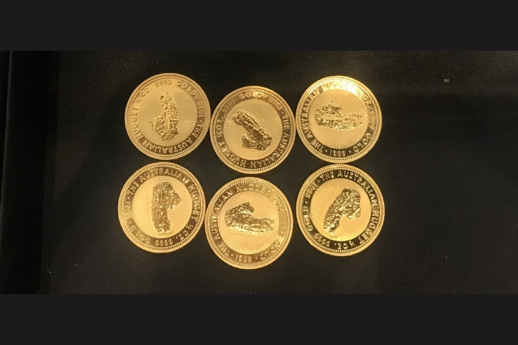 ナゲット金貨 1/2oz 6枚
