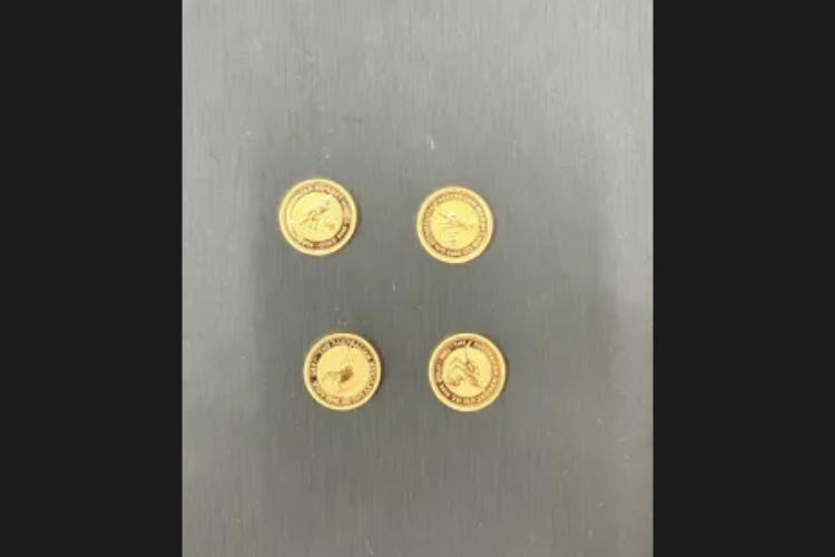 ナゲット金貨 1/10oz 4枚
