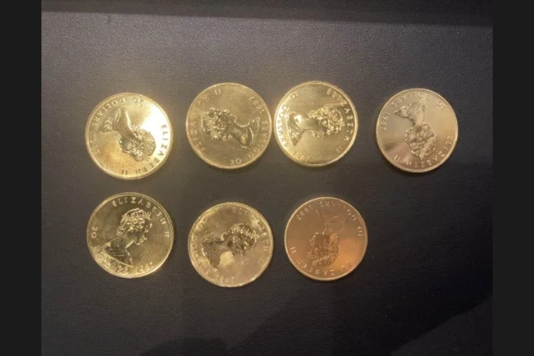 メイプルリーフ金貨 1/2oz 7枚