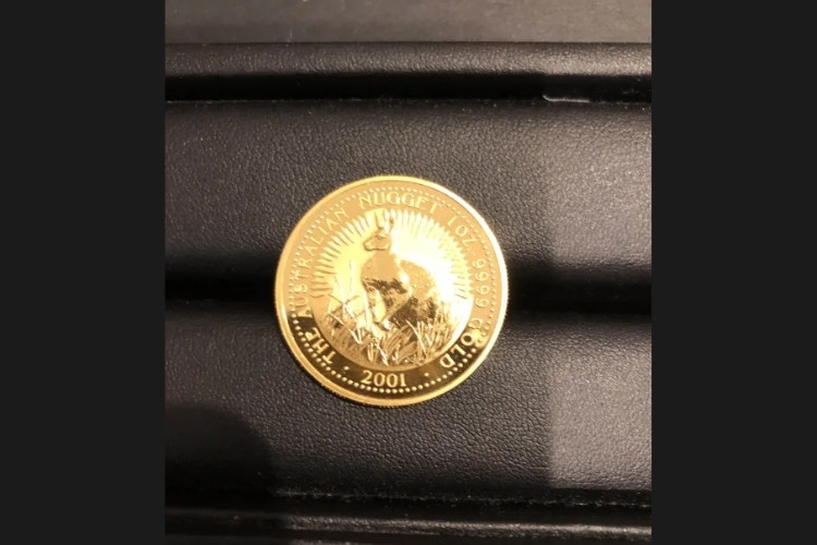 ナゲット金貨 1oz