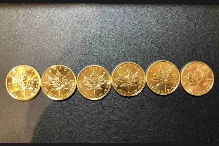 メイプルリーフ金貨 1/4oz 6枚